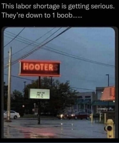 hoot.jpeg