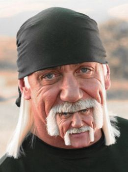 hulkster.jpg