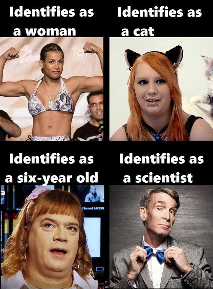 identify.jpg