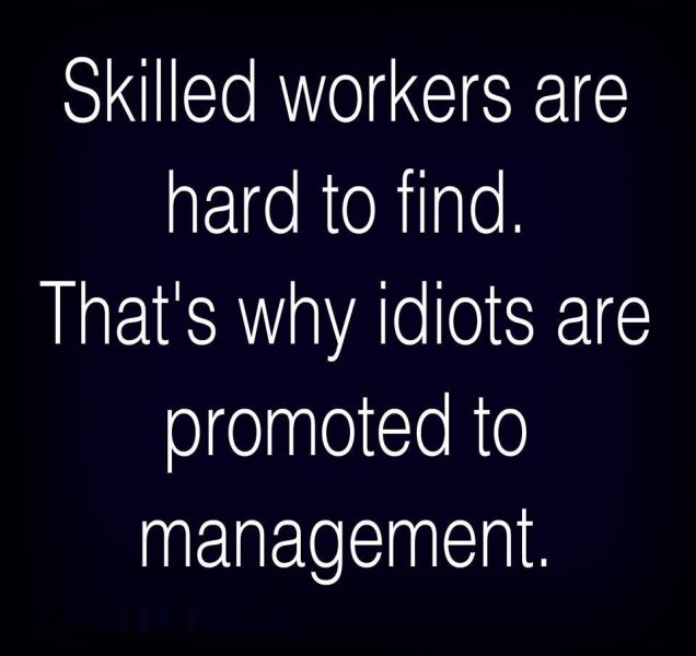 idiots.jpeg