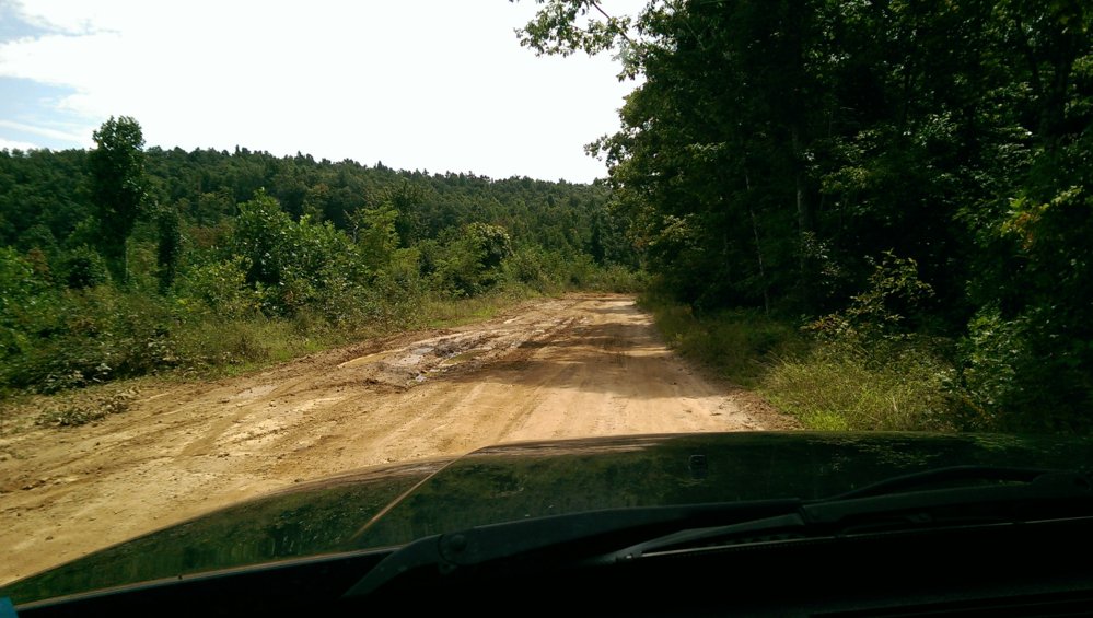IMAG0805.jpg