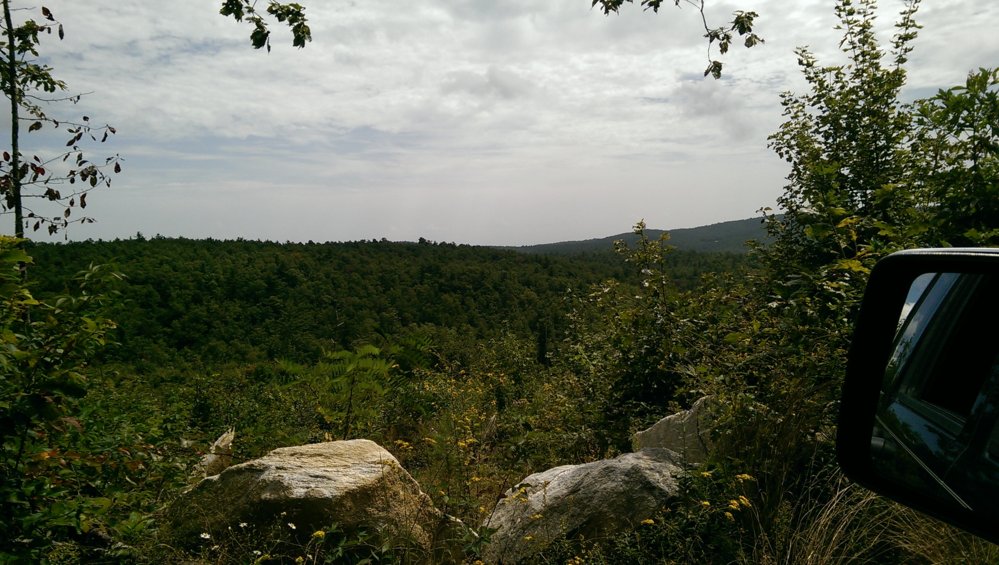 IMAG0812.jpg