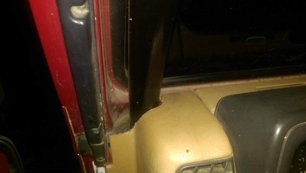 IMAG1398.jpg