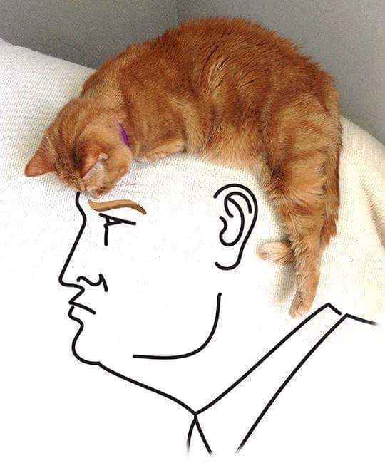 image.jpeg