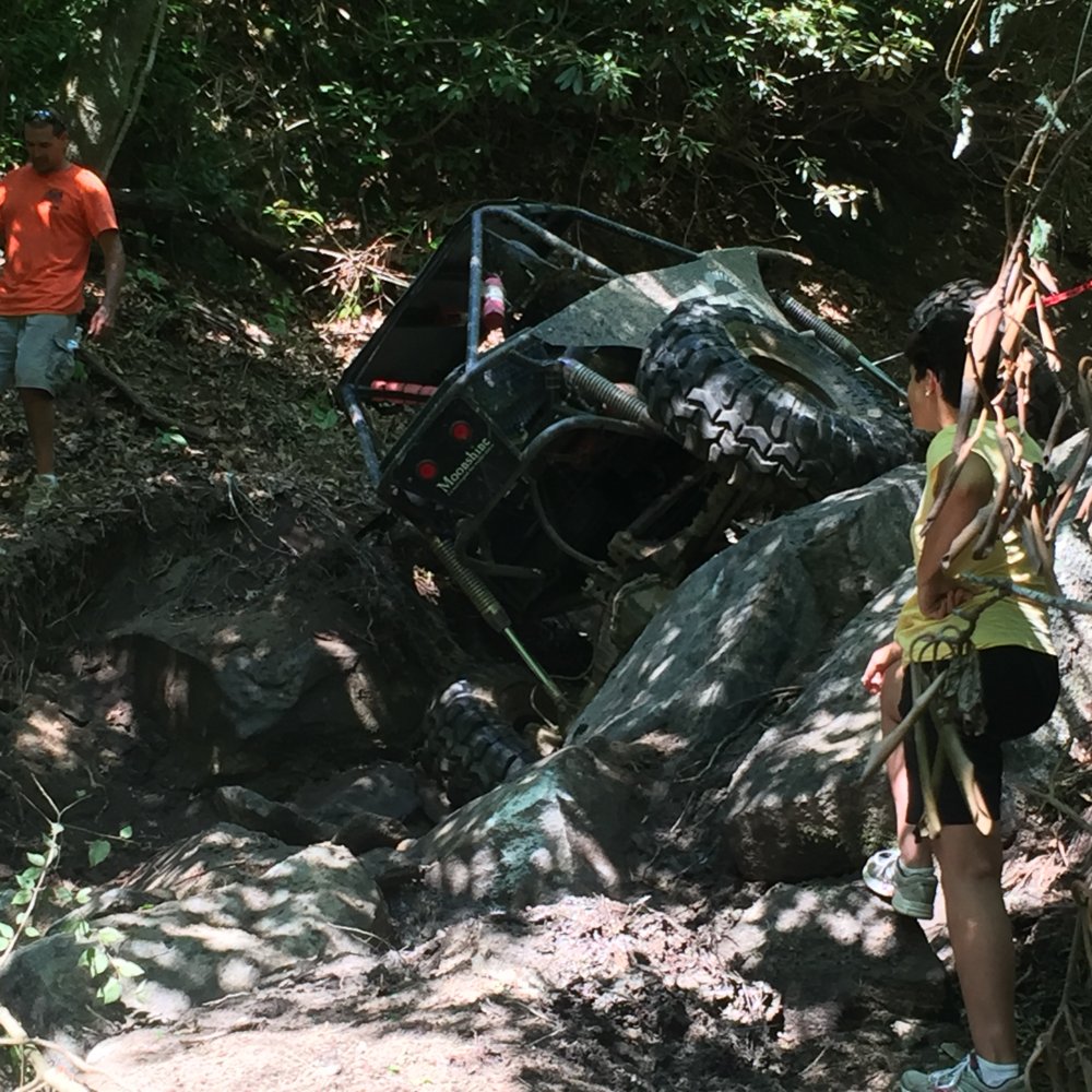 image.jpeg