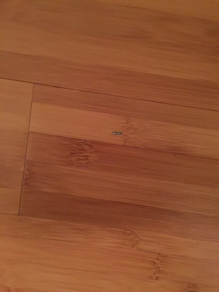 ImageUploadedByTapatalk1422843958.187500.jpg