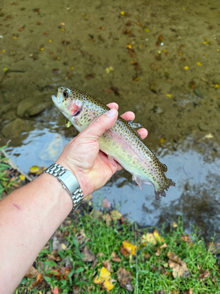 IMG_0433.jpeg