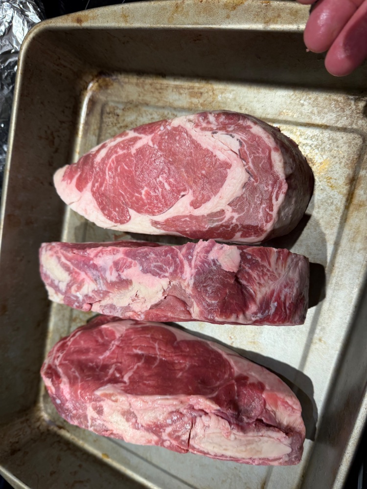 IMG_0931.jpeg