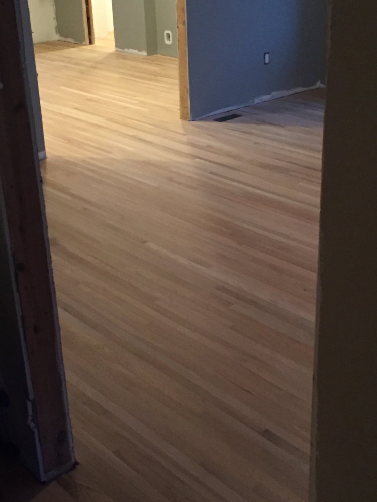 IMG_1071.jpg