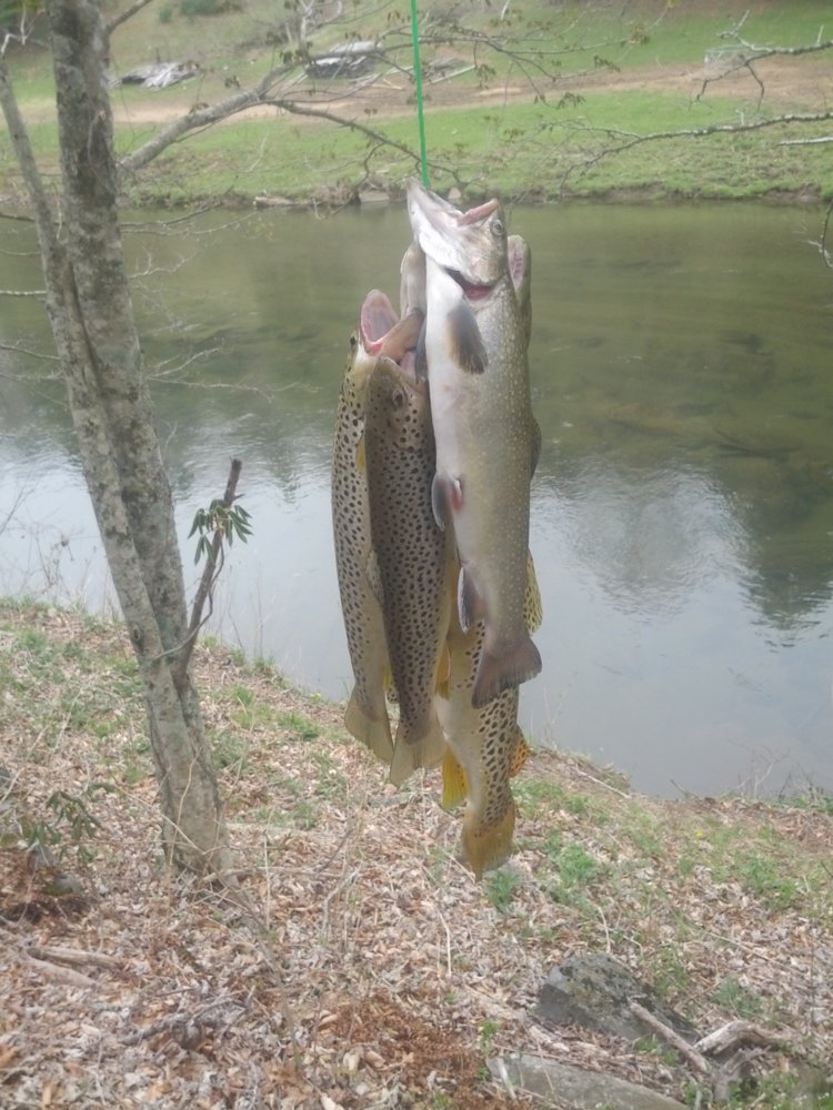 IMG_20140425_114848.jpg