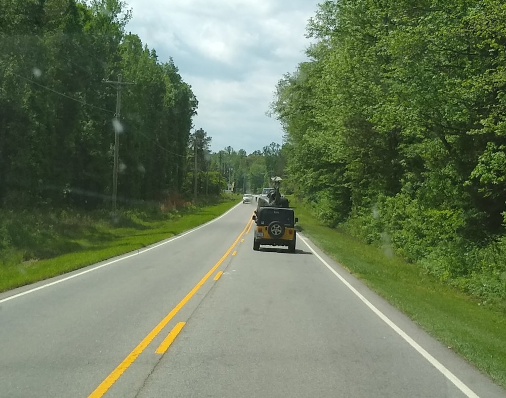 IMG_20190426_114619348.jpg