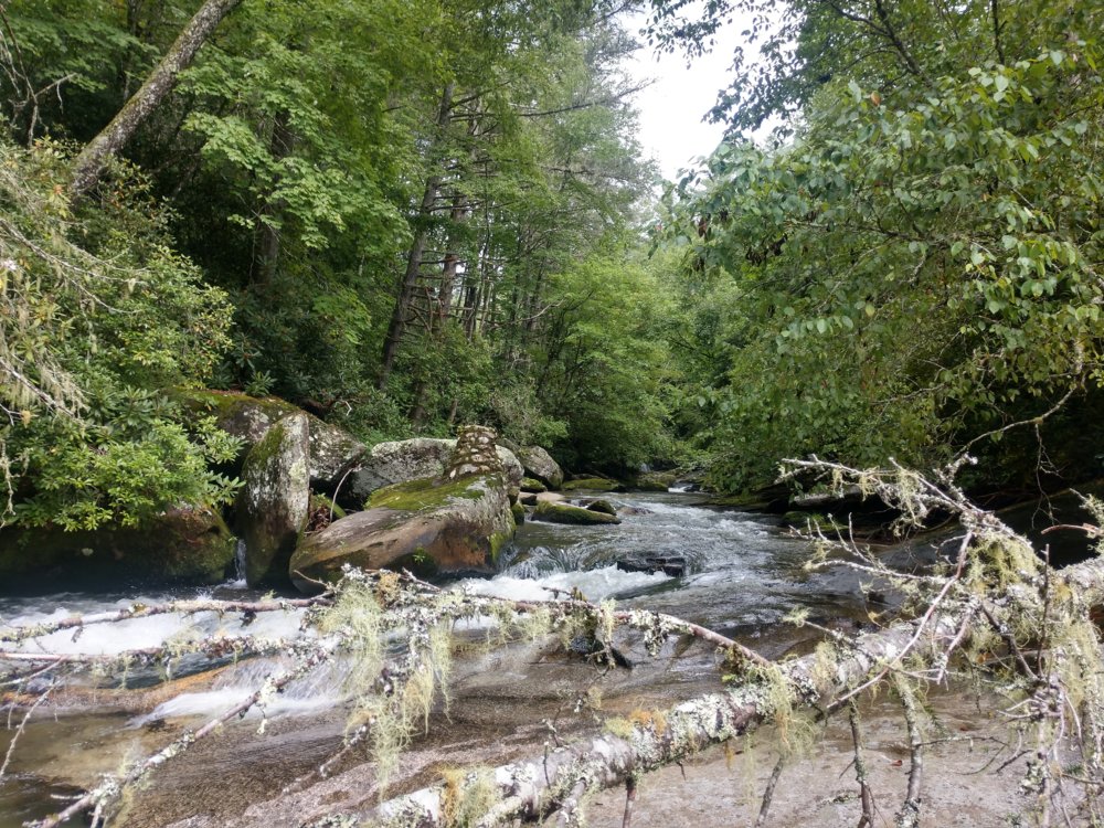 IMG_20190803_135603441_HDR.jpg