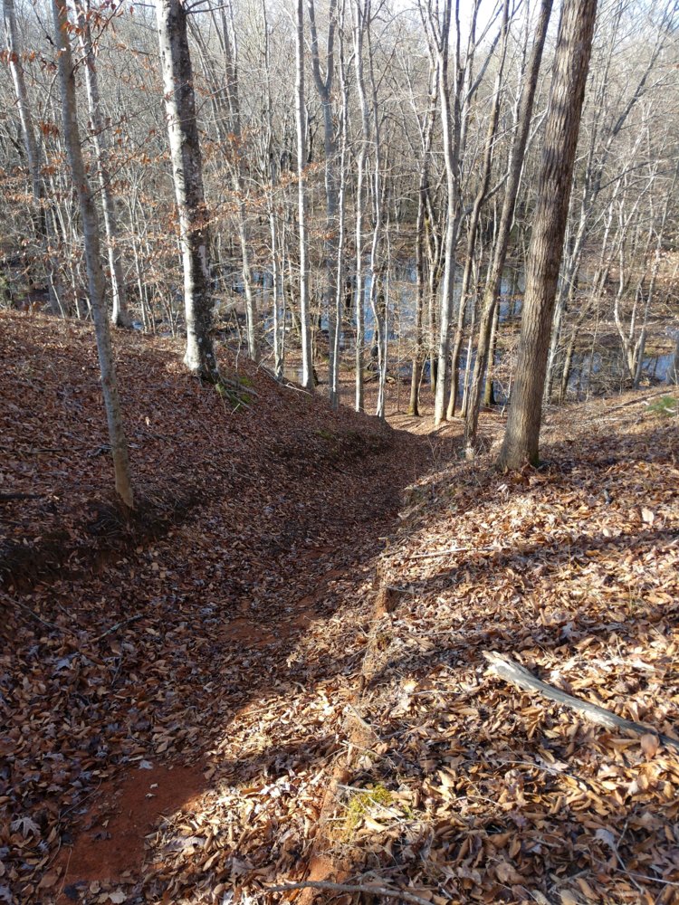 IMG_20191224_150641.jpg