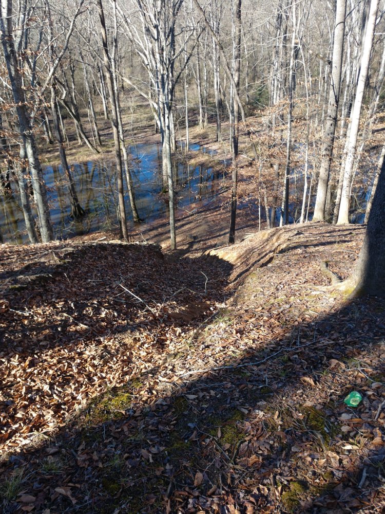 IMG_20191230_135424.jpg