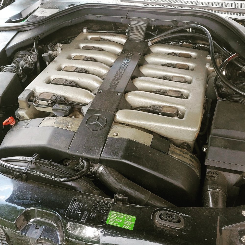 IMG_20200802_122241_477.jpg