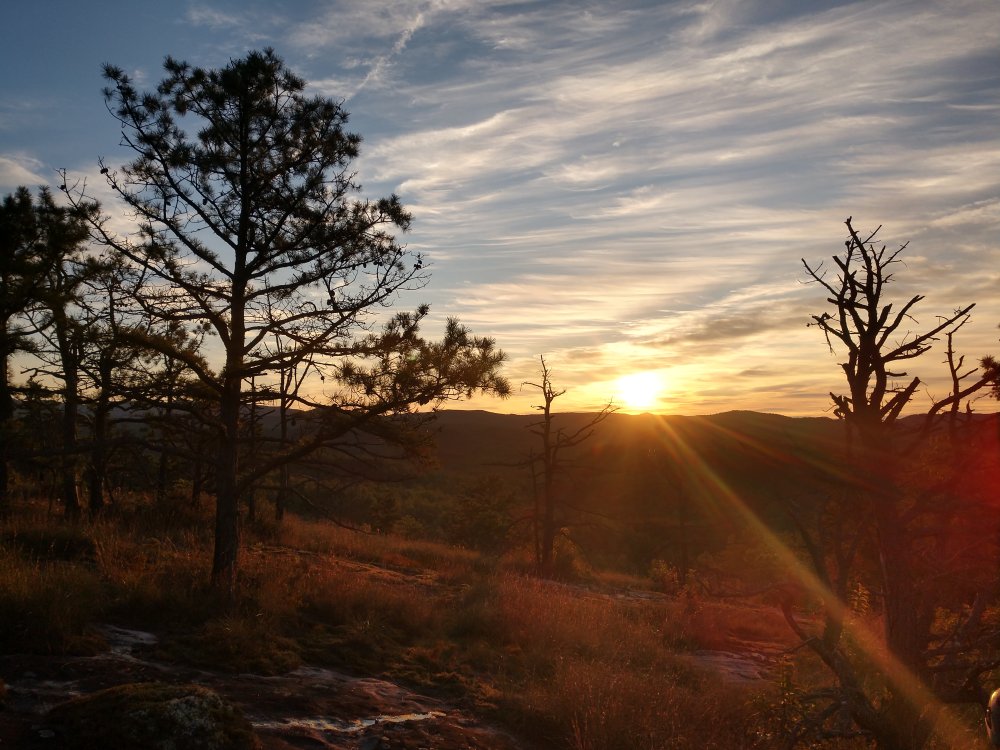 IMG_20200920_073058782_HDR.jpg