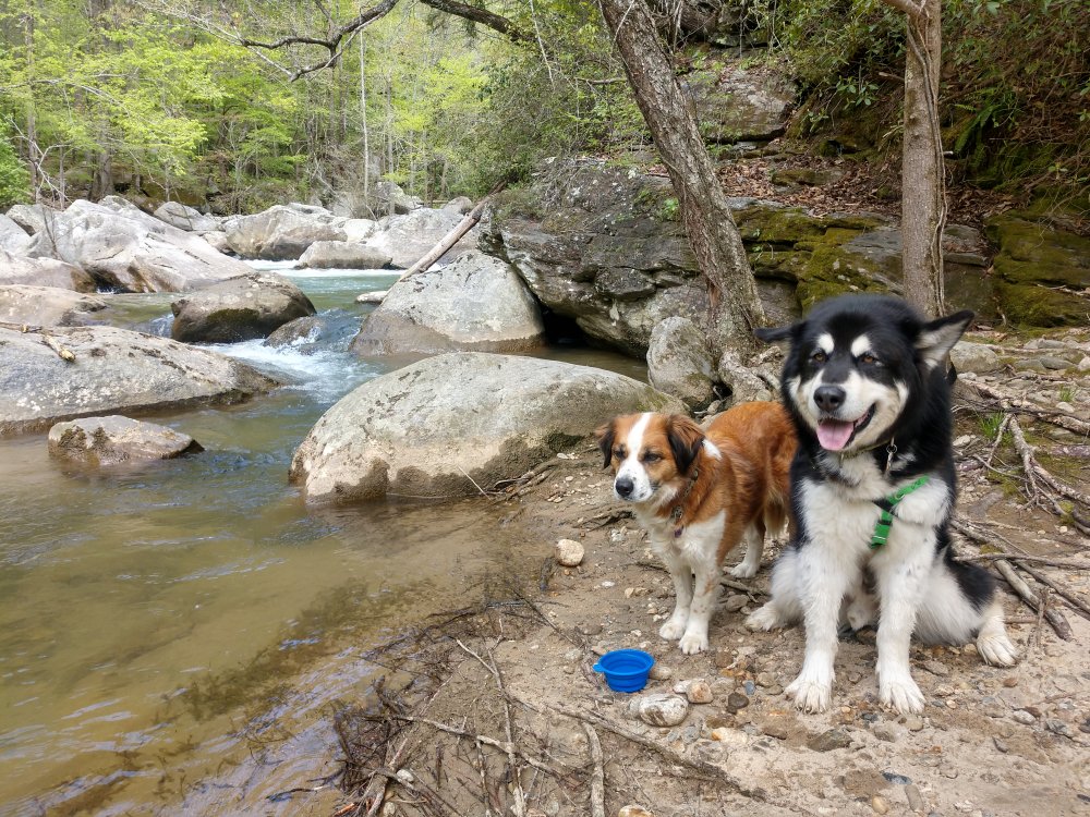 IMG_20210417_131443076_HDR.jpg