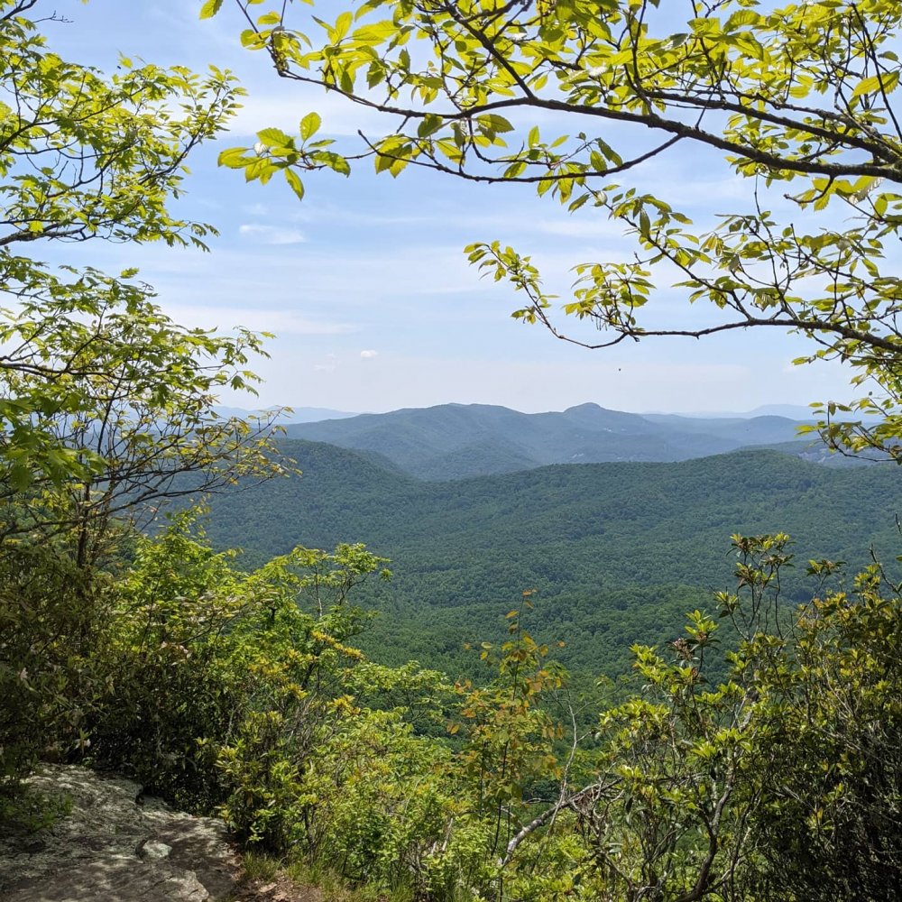 IMG_20210522_184052_936.jpg