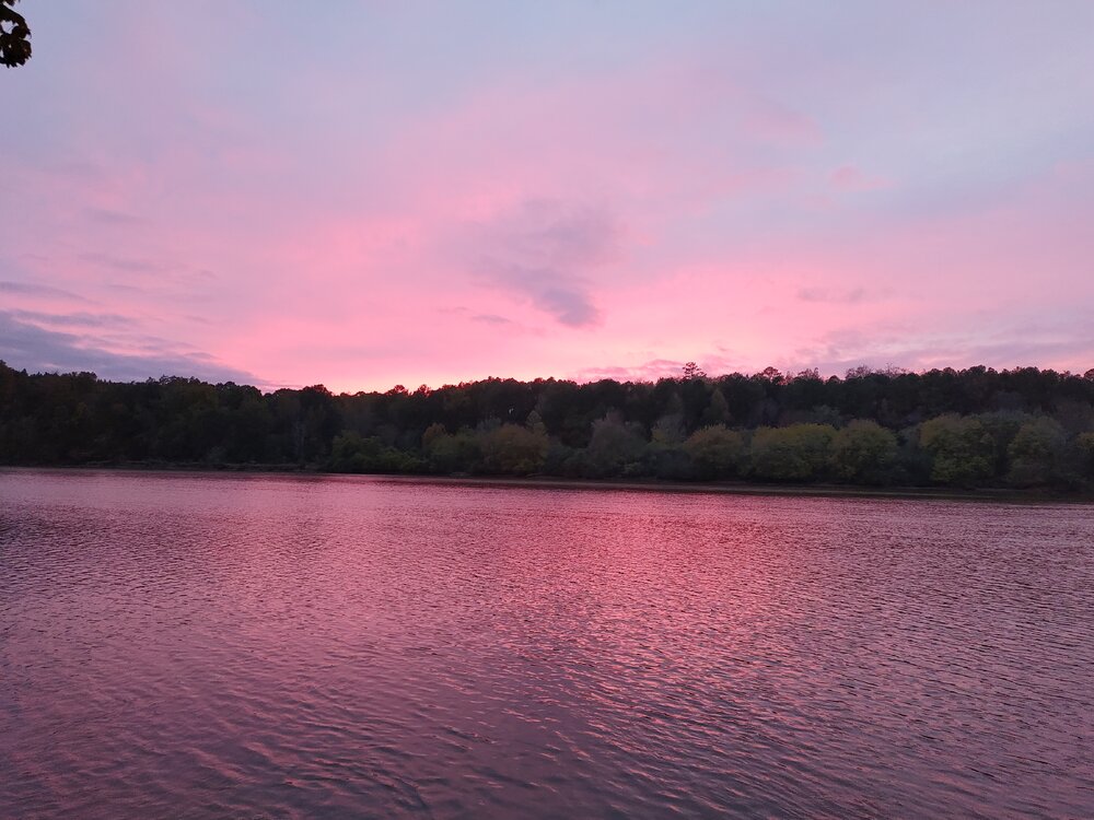 IMG_20211106_183924_hdr.jpg