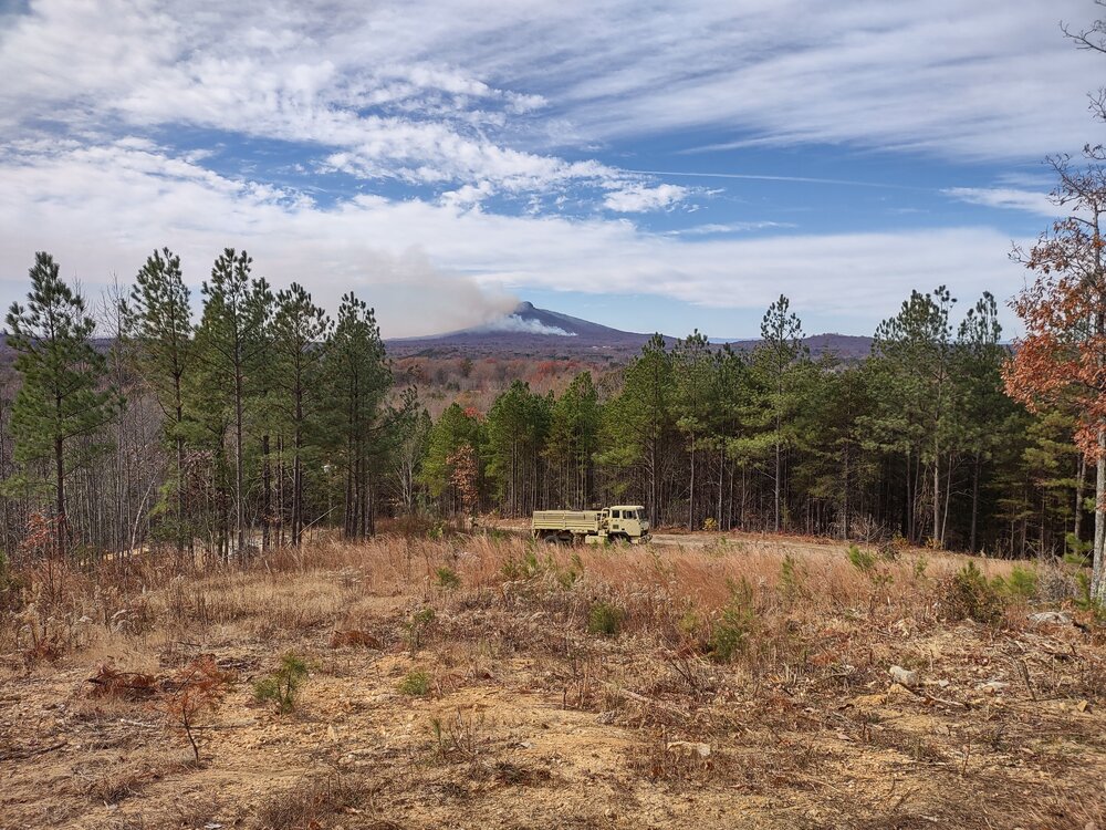 IMG_20211129_115823493_HDR.jpg