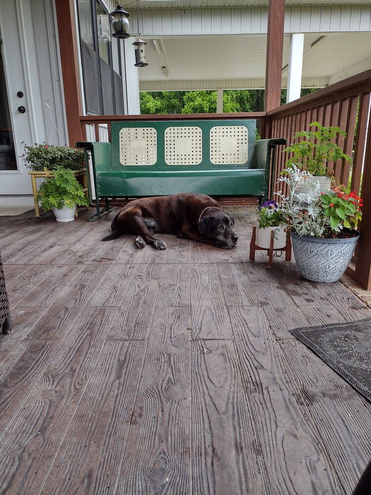 IMG_20230528_173324536_HDR.jpg