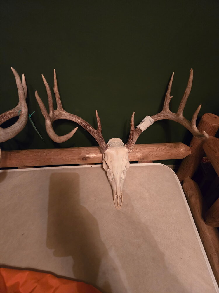 IMG_20250703_180144 (1).jpg