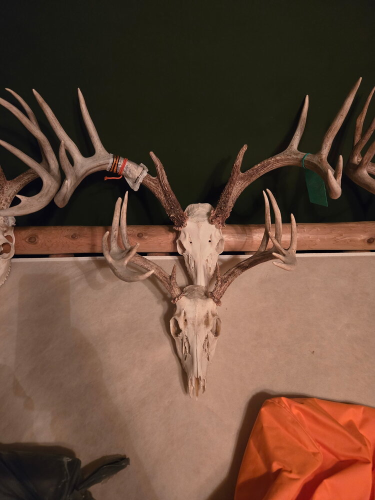 IMG_20250703_180144 (3).jpg