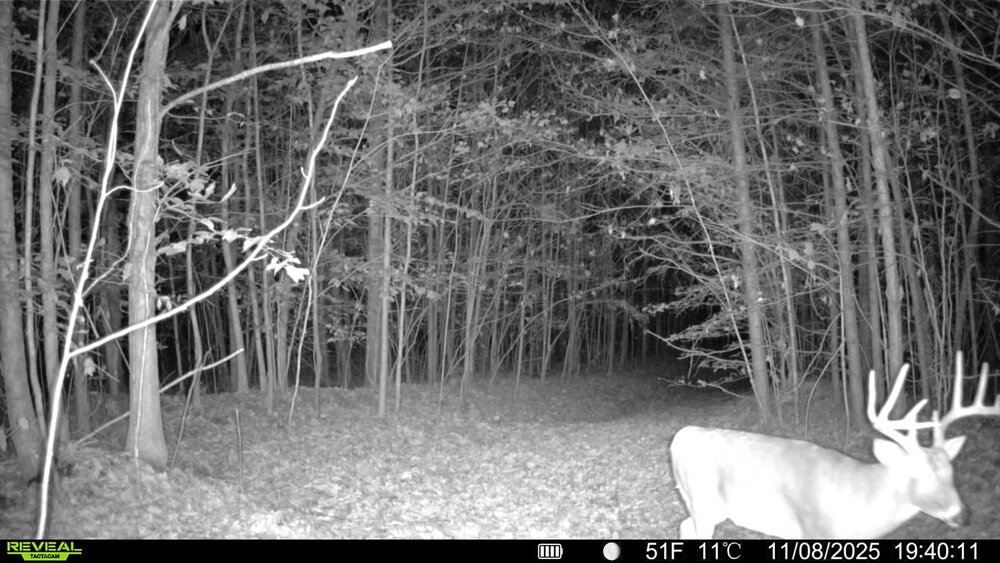 IMG_20251112_192213 (1).jpg