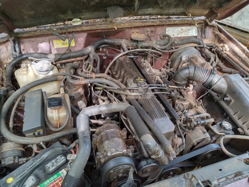 IMG_20260502_164501237_HDR.jpg
