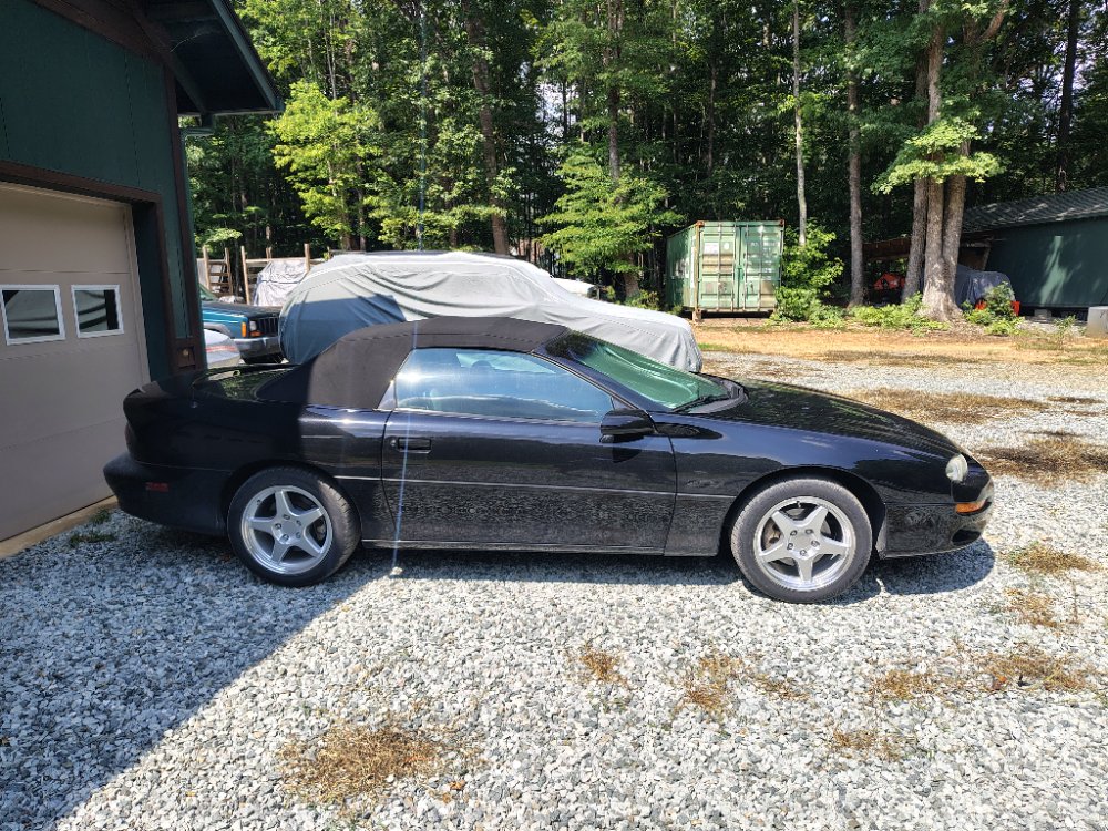 IMG_20260814_151539083_HDR.jpg