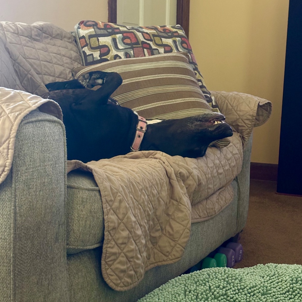 IMG_2914.jpeg