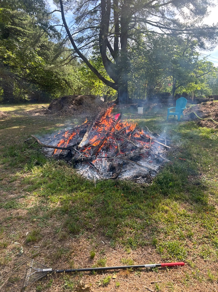 IMG_2950.jpeg