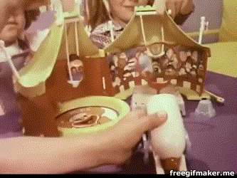 IMG_2986.gif