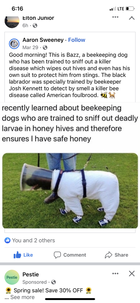 IMG_3541.png