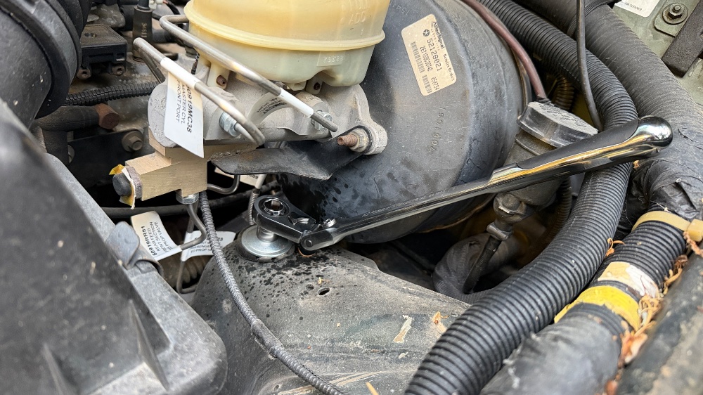 IMG_4359.jpeg