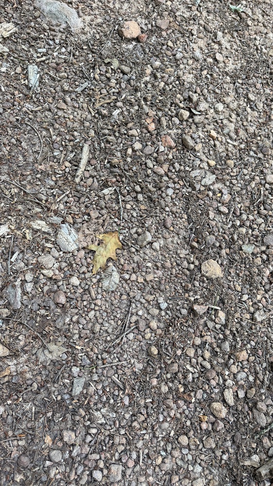 IMG_4914.jpeg