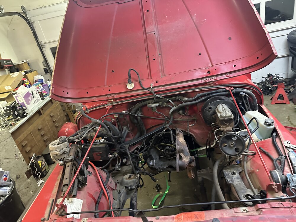 IMG_7784.jpeg
