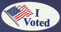 ivoted.png