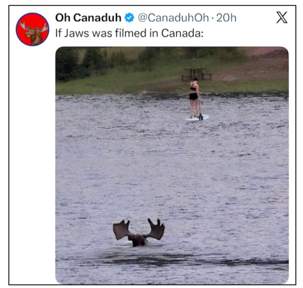 jaws can.jpg