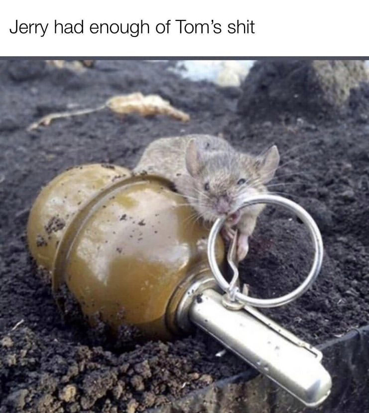 jerry.jpeg