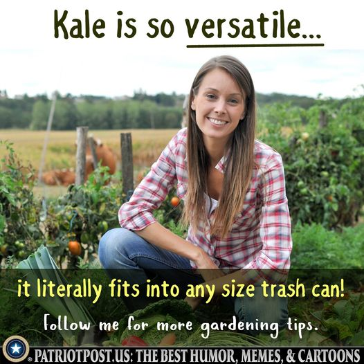 kale.png