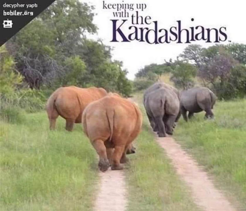 kar.png