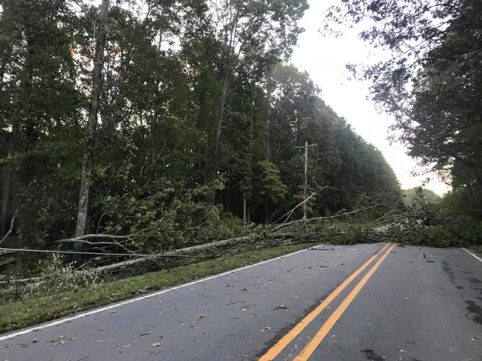 Kermit Duncan tree down.jpg