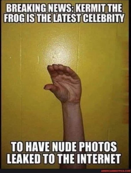 kermit.jpeg