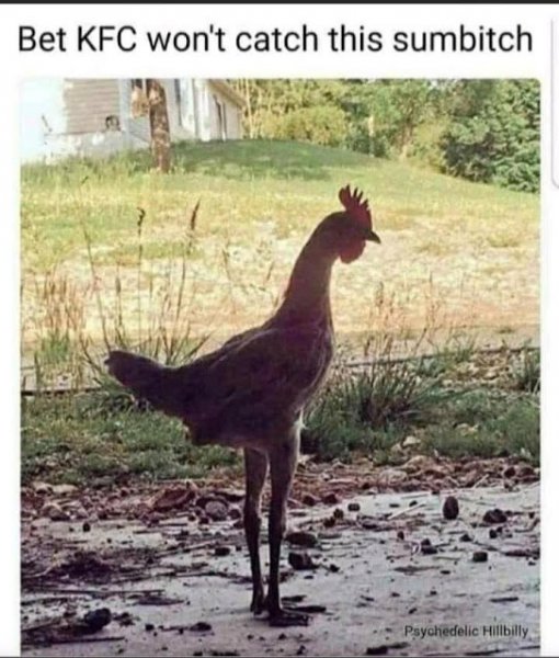 kfc.jpeg