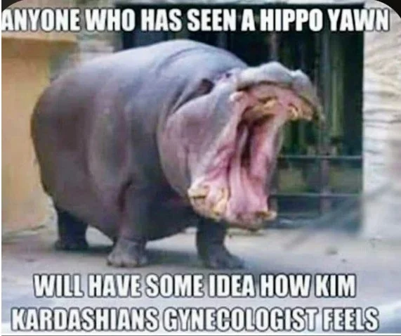 kim.png