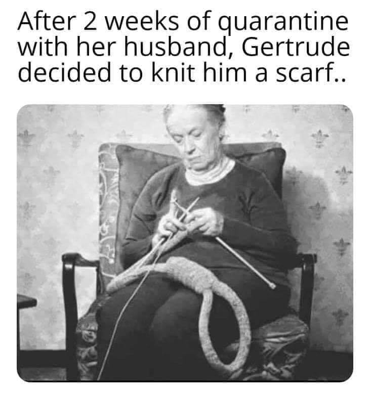 knit.jpg
