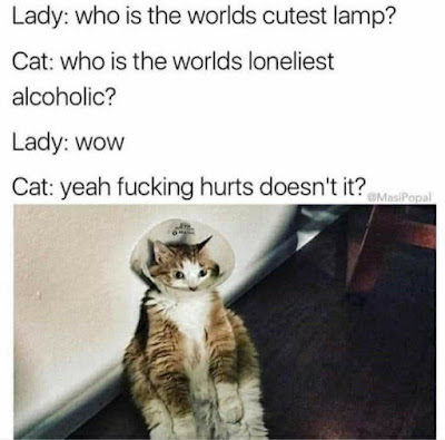lady.png