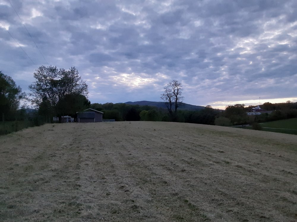 landscape.jpg