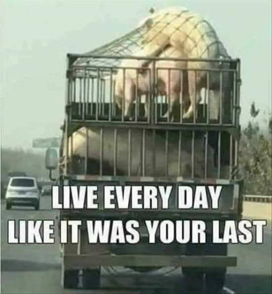 last day.jpeg